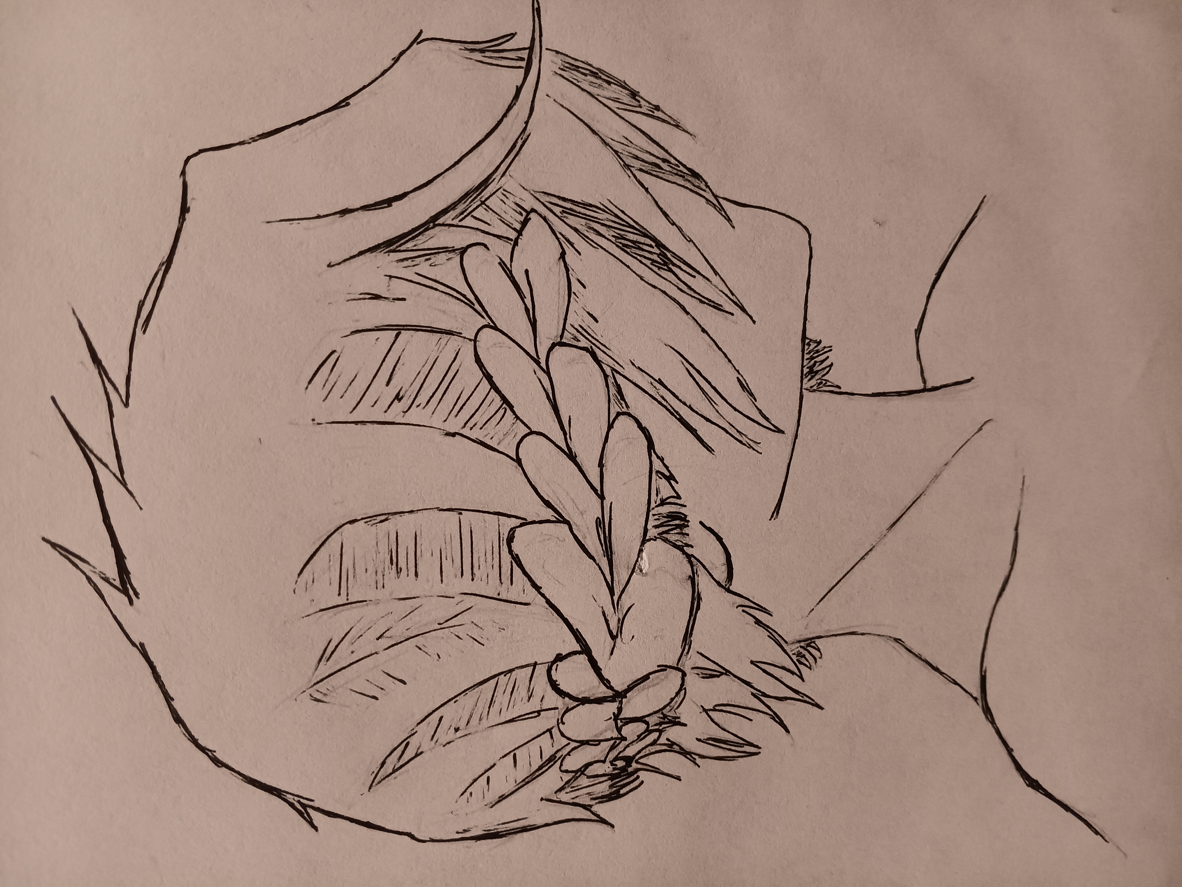 Sarah's Artwork 7