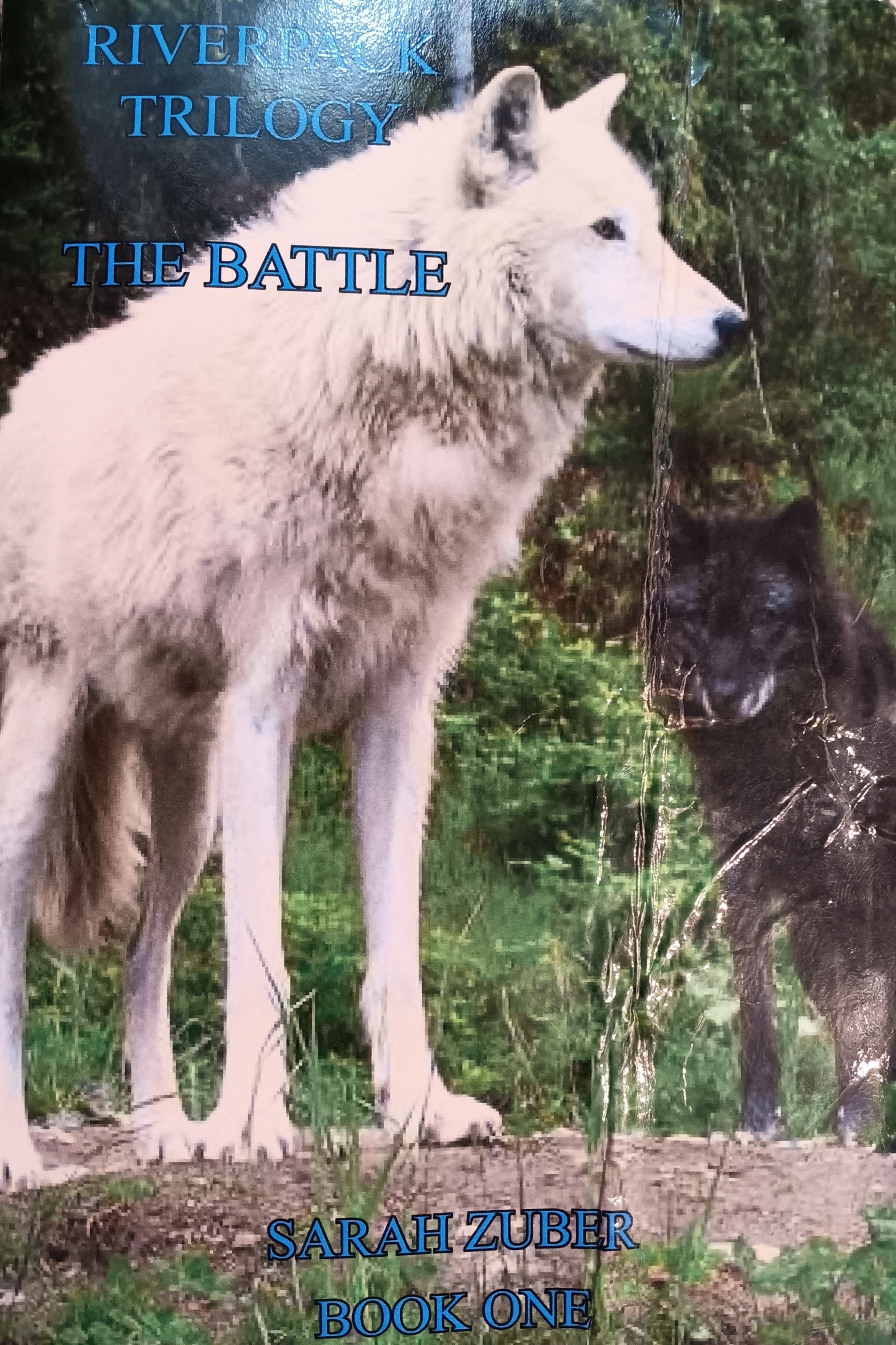 Riverpack book cover